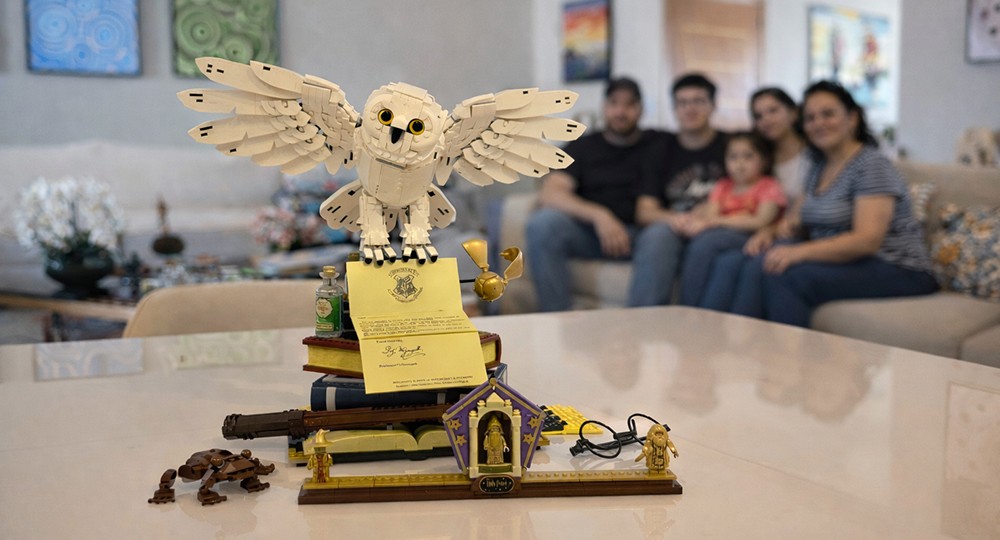 Carnaval em casa com montagem em família e amigos