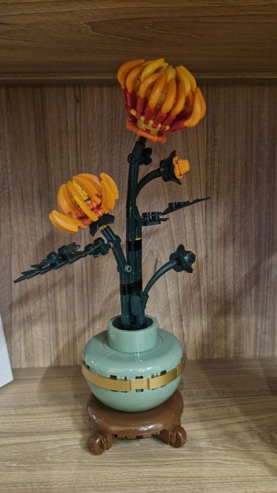 Chysantemun Chysantemun