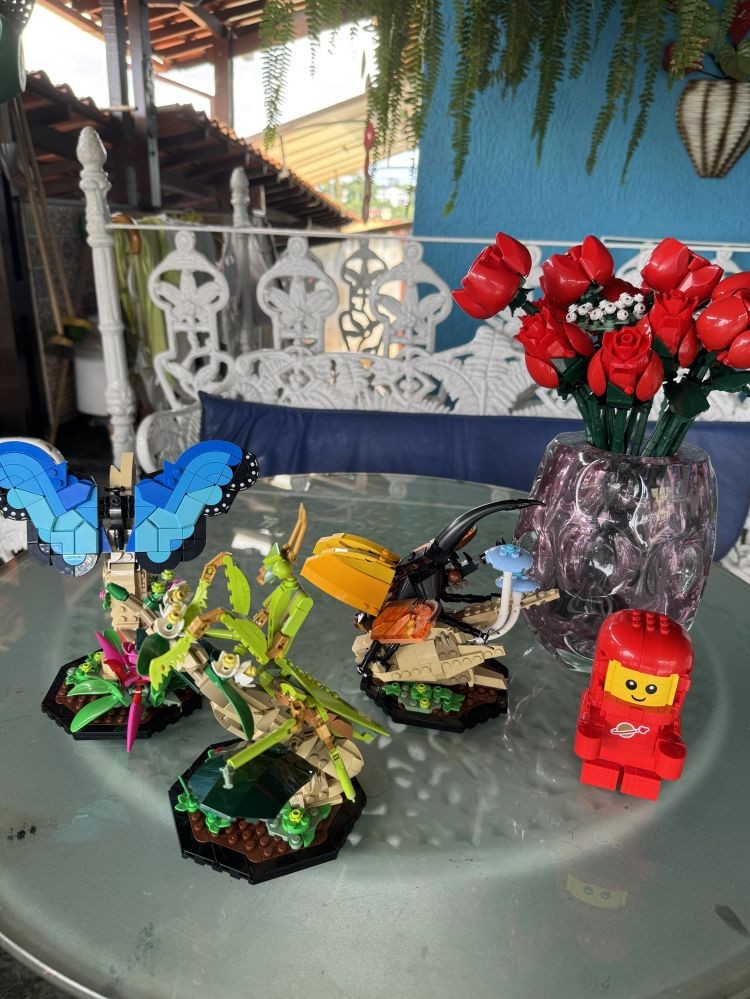 O Jardim das Engrenagens Vivas