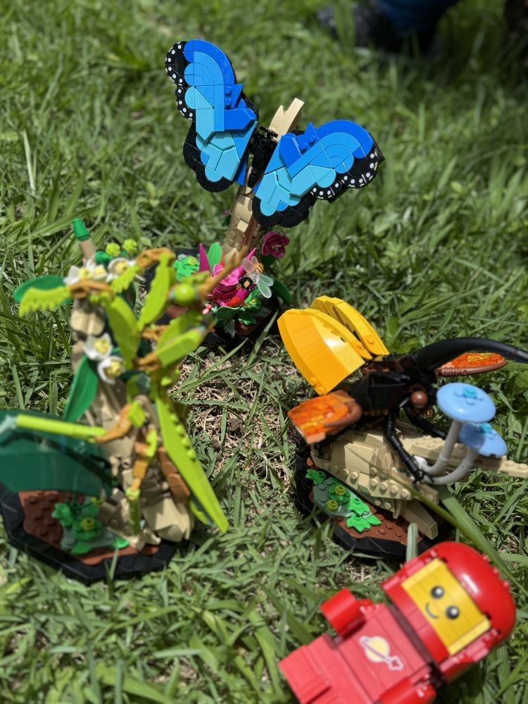 O Jardim das Engrenagens Vivas