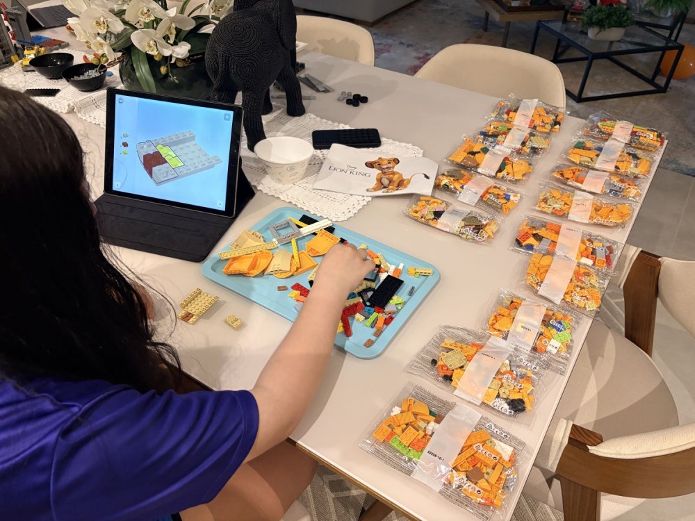 O Rei Leão Simba Jovem