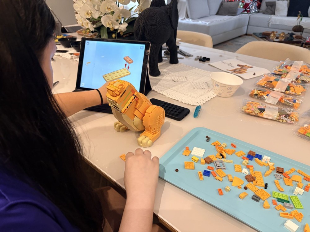 O Rei Leão Simba Jovem